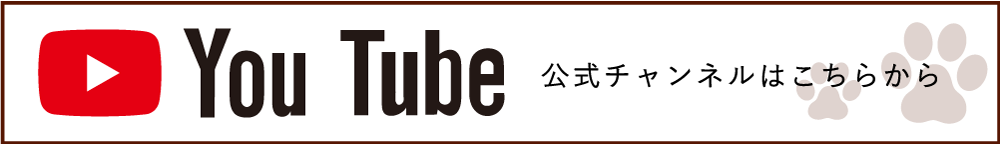 YouTube公式チャンネル