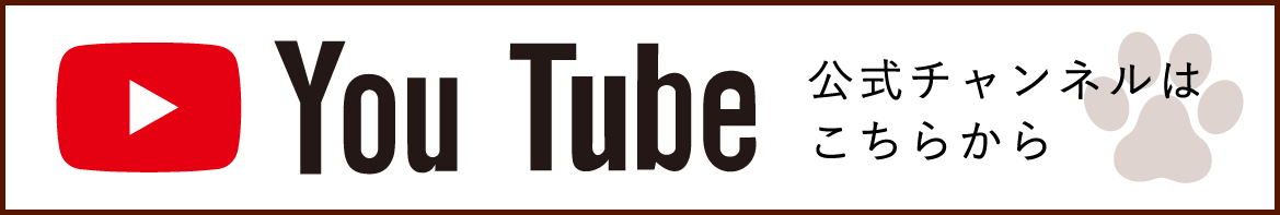 YouTube公式チャンネル